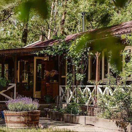 Forest Cottage With Lovely Garden & Sauna Doornspijk Exterior photo